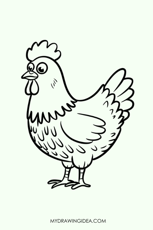 Detailed Feathered Chicken Drawing ideas