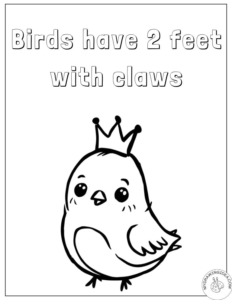 Educational Bird Feet Bird Coloring Sheets