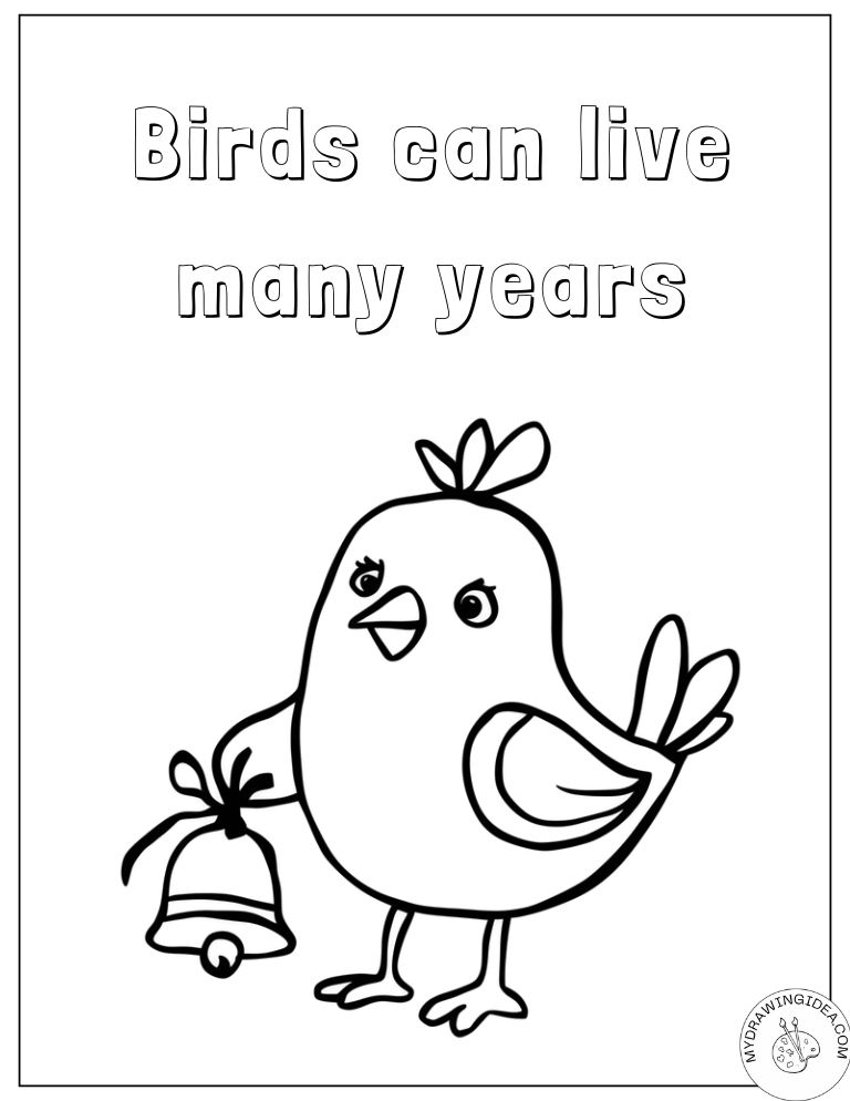 Educational Bird Lifespan Facts Coloring Pages of Birds