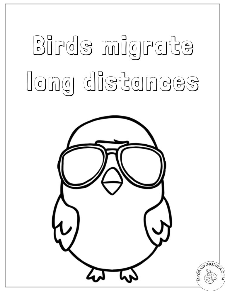 Migration Educational Bird Bird Drawings to Color