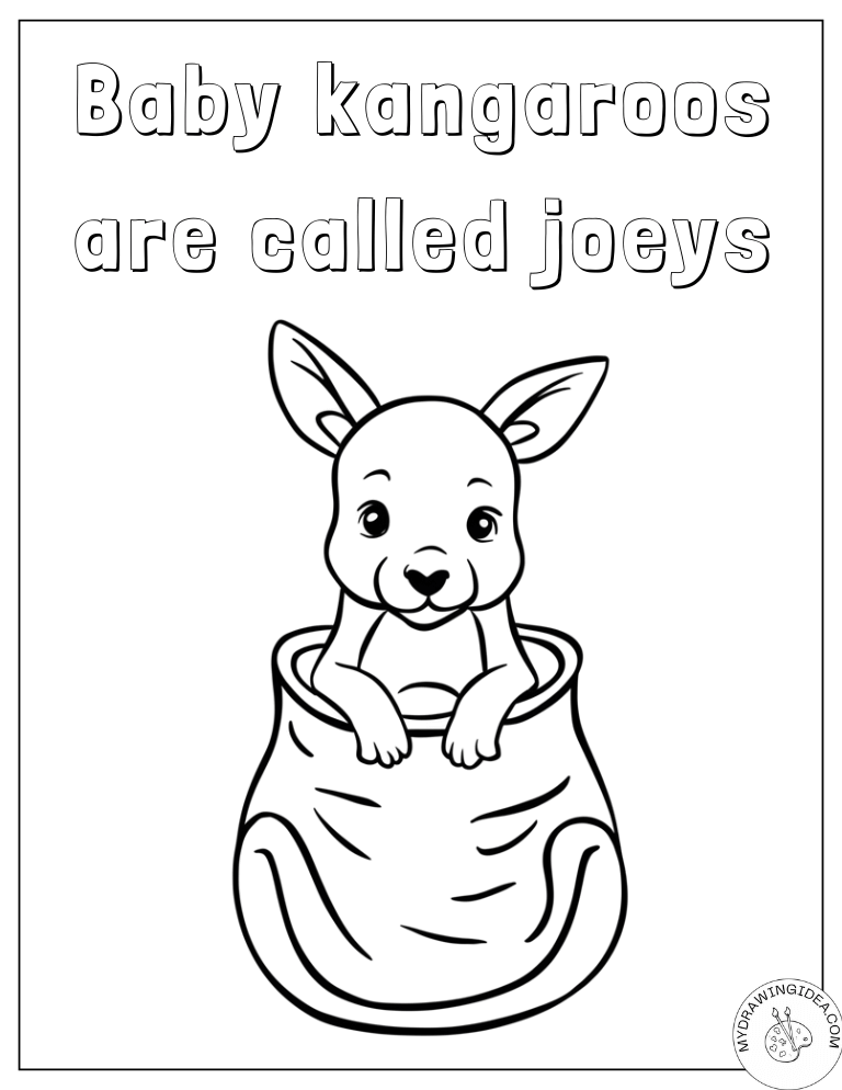 Adorable Joey Learning Facts Kangaroo Color Page