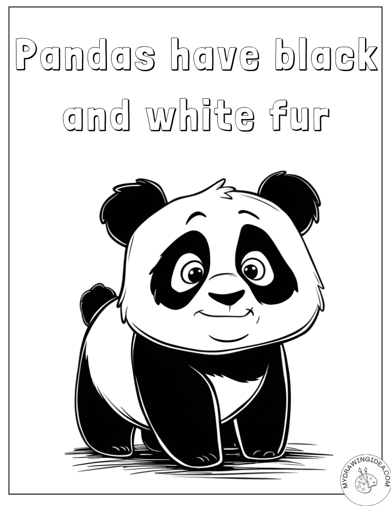 Cute Panda Facts and Fun Coloring Page Panda