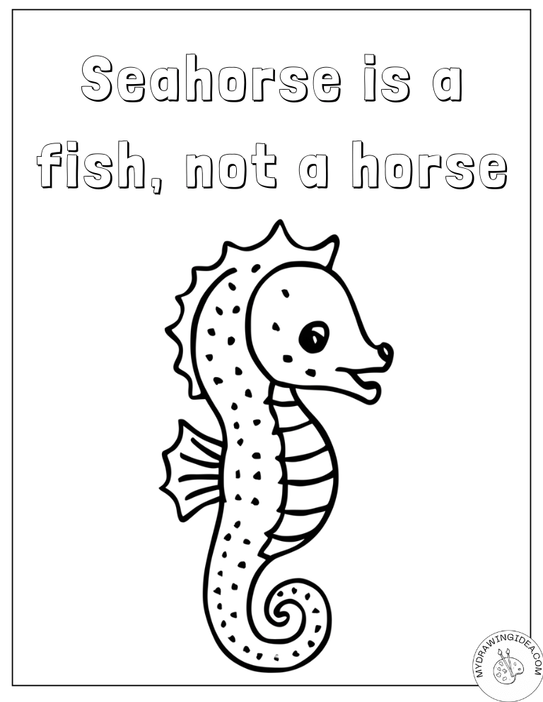 Fish Not Horse Facts Seahorse Color Page Educational