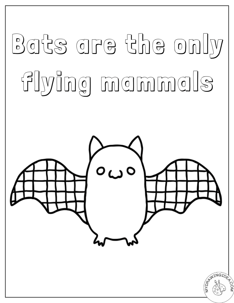 Flying Mammal Facts Black Bats Printable