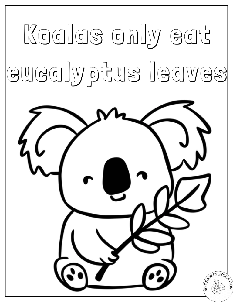 Hungry Koala with Branch Snack Coloring Pages of Koalas