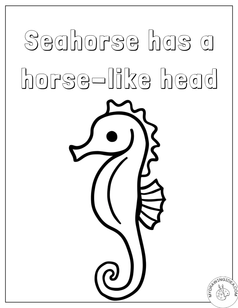 Learning About Seahorse Features Coloring Page Seahorse