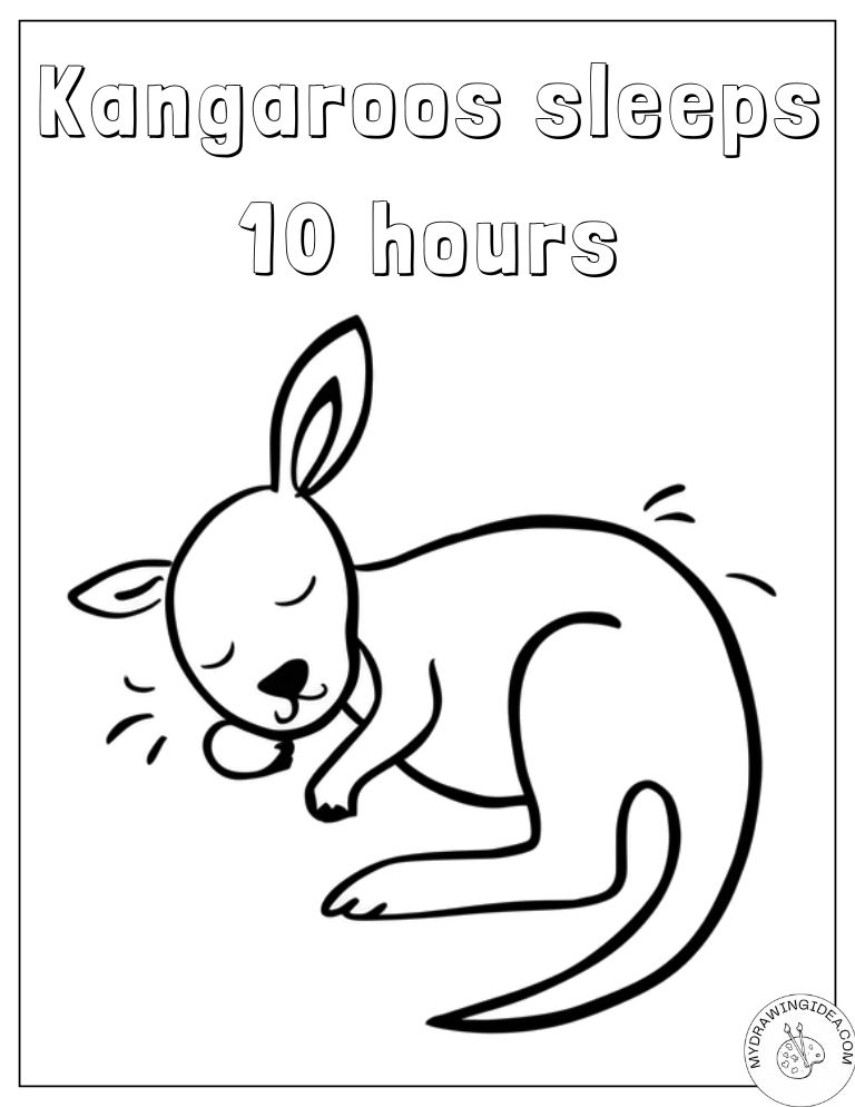 Peaceful Sleeping Kangaroo Educational Coloring Page Kangaroo