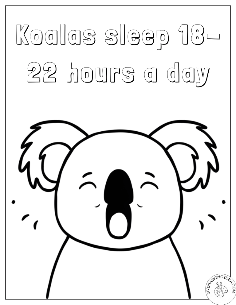 Tired Koala Bear Learning Sleep Facts Koala Bear Color Page